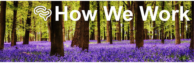 How We Work. How We Work Bluebells